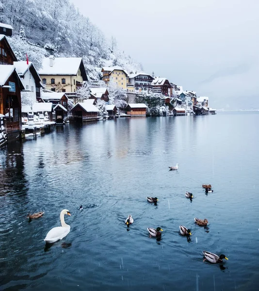 Hallstat Village Austria Beautiful Village Mountain Valley Lake Mountains Landscape — Stock Photo, Image