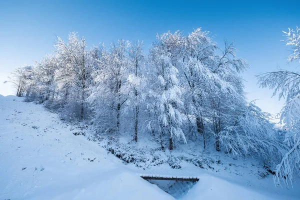 Vinterlandskap Dagtid Skogen Snön Snöiga Bakgrunder Snöigt Väder Och Snöfall — Stockfoto