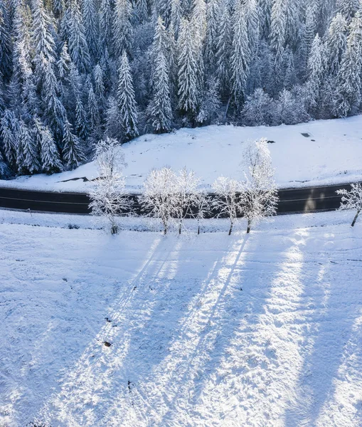 冬天的风景在白天的空中 在雪地下的森林白雪的背景 多雪的天气和降雪 一条穿过冬季森林的路 — 图库照片