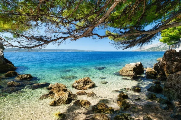 海景在白天的时候 蓝色的海阳光灿烂的日子 海浪在海滩上 在树下放轻松点 大自然的组成 地中海 克罗地亚 — 图库照片