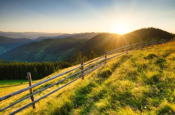 Stängsel Bergssluttning Gräs Och Blommor Fjällbacken Sommarlandskap Fjällen Solnedgången Klar — Stockfoto