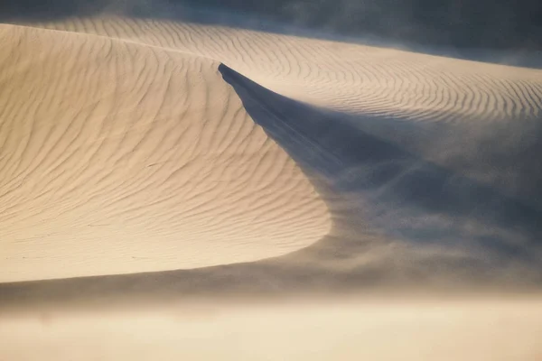 Die Sanddünen Bei Sonnenuntergang Und Starkem Wind Sommerlandschaft Der Wüste — Stockfoto