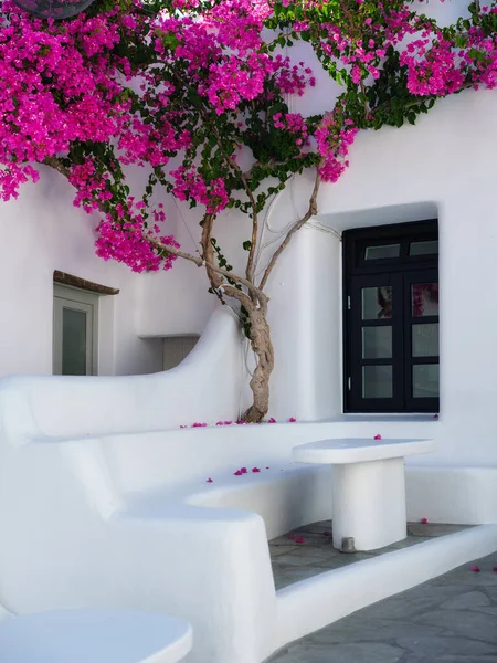 Leuchtende Blumen Und Hausdesign Auf Der Insel Mykonos Griechenland Tapete — Stockfoto