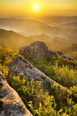 kayalar ve çim. sisli dağ