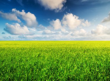 Güzel doğal manzara