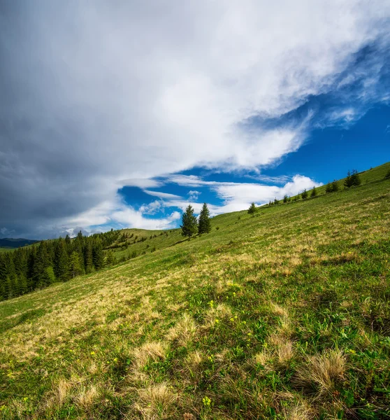 Colinas verdes no vale da montanha — Fotografia de Stock