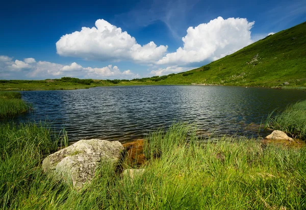 Prachtig natuurlijk landschap — Stockfoto