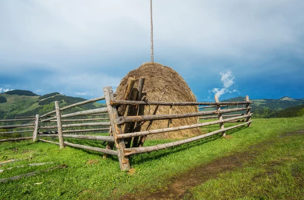 Пачка сена на поле — стоковое фото