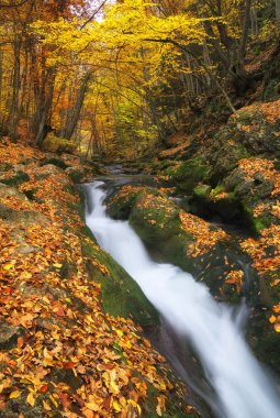 Şelale sonbahar Kanyon