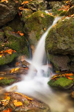 Şelale sonbahar Kanyon