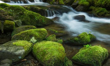 Nehir ve yosun taşlarla