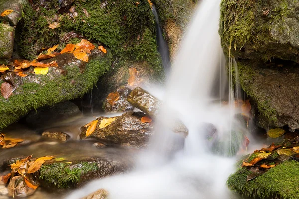 Waterfall in autumn canyon. — Stock Photo, Image