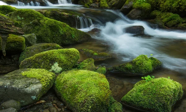 Rio e pedras com musgo — Fotografia de Stock