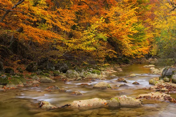 Río en bosque otoñal — Foto de Stock