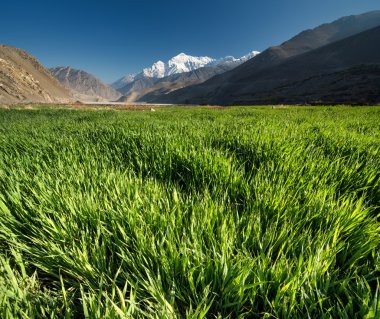 dağa vadide yeşil alan
