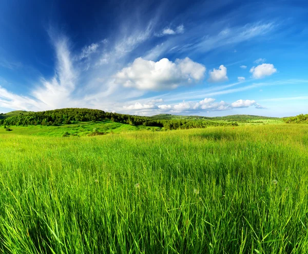 Зеленое поле и небо с облаками — стоковое фото