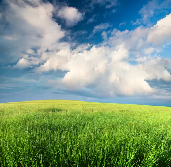 Green field in mountain valley — Stock Photo, Image