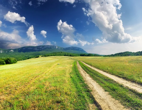 Strada sul campo verde — Foto Stock