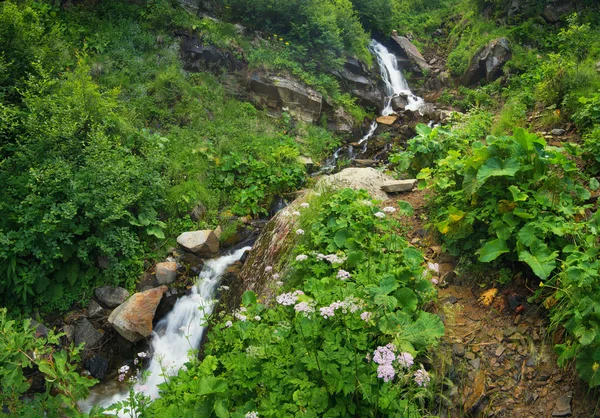 Cachoeira no cânion — Fotografia de Stock