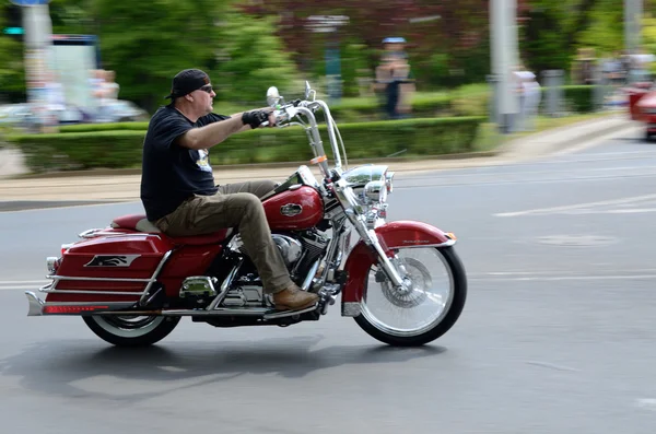 Harley-Davidson Eleven Bike Fest — Stock Photo, Image