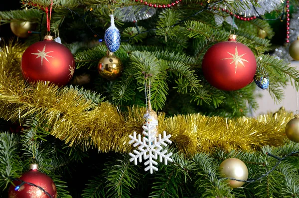 Temporada Férias Polónia Árvore Natal Vivo Decorada Com Bolhas Correntes — Fotografia de Stock