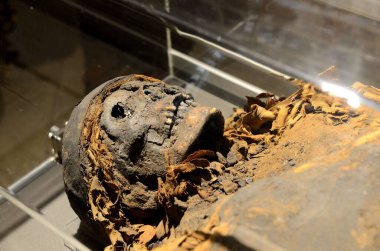 WROCLAW, POLAND - 10 ARALIK 2016: Wroclaw Arkeoloji Müzesinde Mısır 'dan antik mumya.