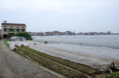 YUEYANG, ÇİN - 9 HAZİRAN 2016: YueYang kasabasına bağlı Hunan köyü. 