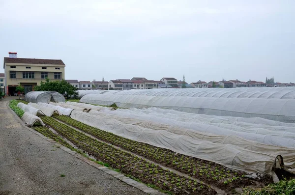 YUEYANG, ÇİN - 9 HAZİRAN 2016: YueYang kasabasına bağlı Hunan köyü. 