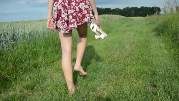 Mujer Joven Con Falda Corta Caminando Sobre Hierba Verano Polonia — Vídeos de Stock