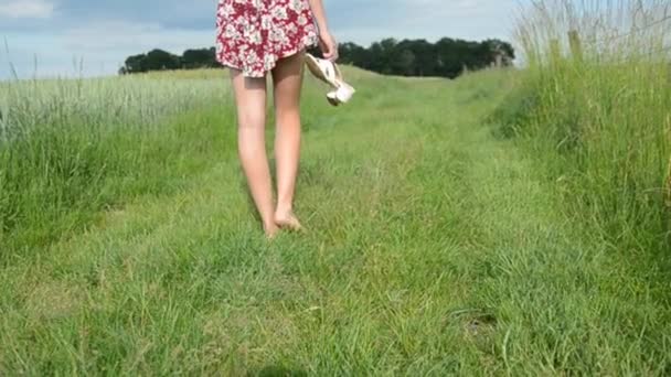 Mujer Joven Con Falda Corta Caminando Sobre Hierba Verano Polonia — Vídeos de Stock