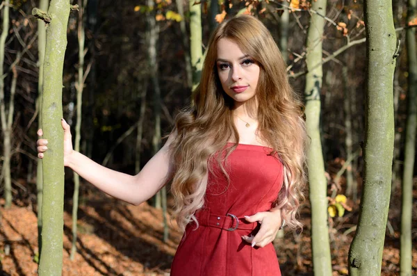 Outono Quente Polónia Jovem Com Vestido Vermelho Cercada Por Árvores — Fotografia de Stock