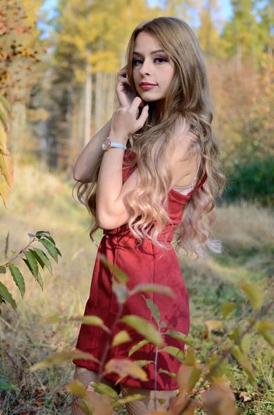 Varm Höst Polen Ung Kvinna Med Röd Klänning Omgiven Träd — Stockfoto