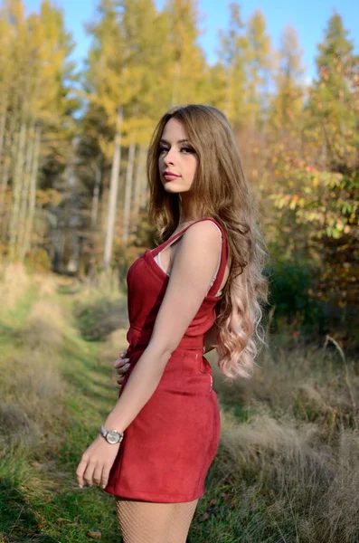 Polonya Sıcak Bir Sonbahar Ağaçlarla Çevrili Kırmızı Elbiseli Genç Bir — Stok fotoğraf