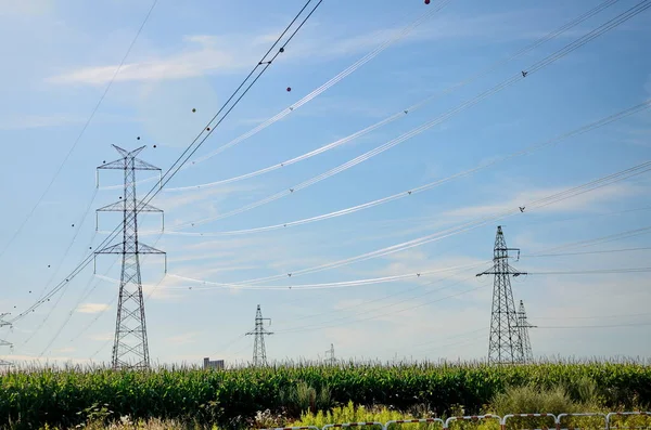 Rural Landscape Tall Electric Poles Lower Silesia Poland Beautiful Summer — Stock Photo, Image