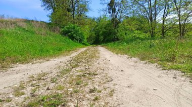 Yeşil tarlalarla çevrili toprak yol. Aşağı Silezya bölgesindeki manzara. Polonya 'da güzel bir bahar. 