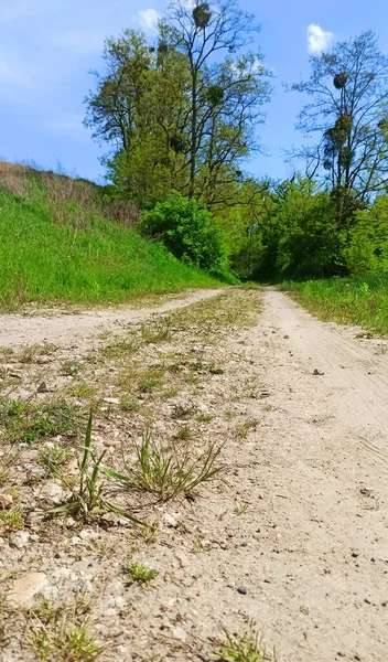 Estrada Terra Cercada Por Campos Verdes Paisagem Área Baixa Silésia — Fotografia de Stock