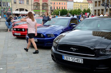 Ford Mustang yarışı