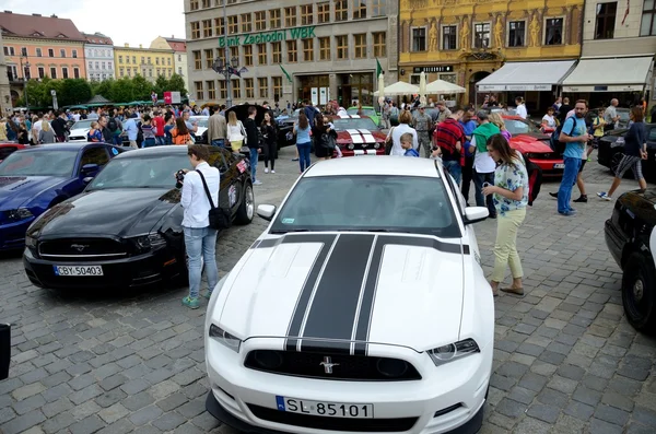 Ford Mustang Race — Photo