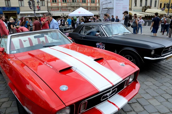 Ford Mustang yarışı — Stok fotoğraf