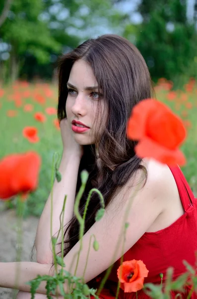 Beautiful brunette with poppies — Stock Photo, Image