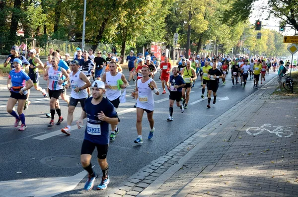 Wroclaw Marathon - runners — Stok fotoğraf