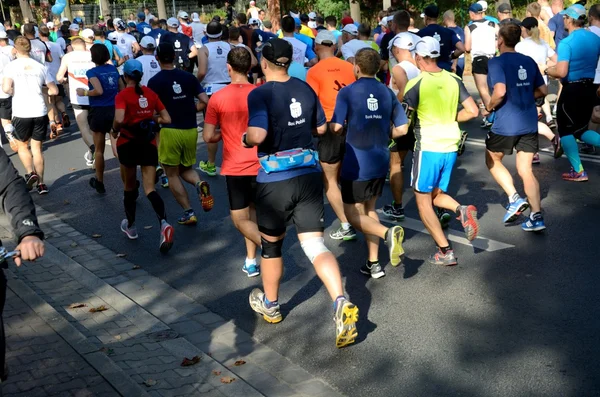 Wroclaw Marathon - runners — Stok fotoğraf