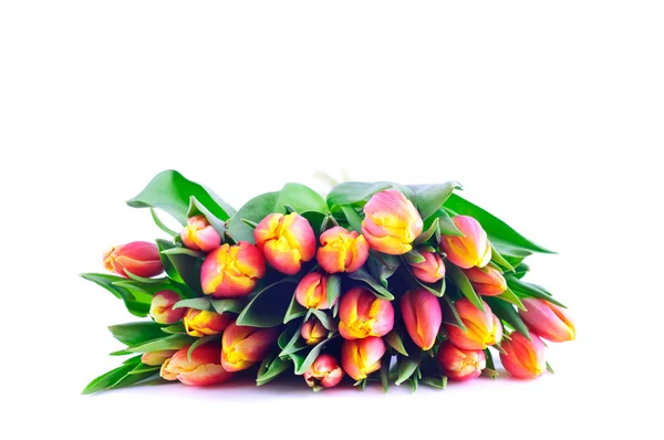 Bunch of Orange-Yellow Tulips — Stock Photo, Image