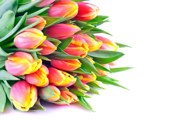 Bunch of Orange-Yellow Tulips — Stock Photo, Image