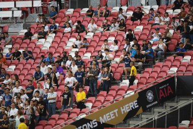 Kallang-singapore-19jul2019-Unidentified fan of tottenham hotspur in action during official training before icc2019 at national stadium,singapore