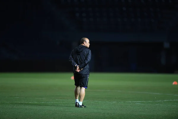 Buriram Tajlandia Czerwca 2019 Park Hang Seo Trener Wietnamu Akcji — Zdjęcie stockowe