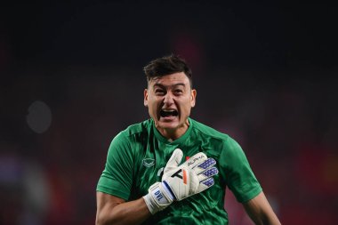Hanoi-Vietnam-19 Nov 2019: Unidentified fan of Vietnam playing wave human during fifa world cup qatar 2022 against Vietnam at My dinh stadium,Vietnam