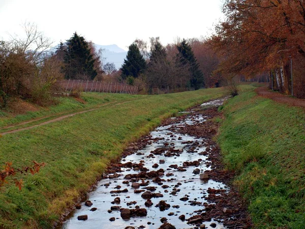 Un ruisseau coule avec de l'eau claire et des pierres — Photo