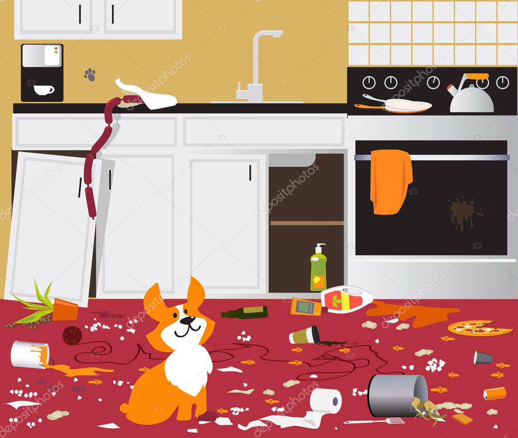 Funny cute corgi dog sitting in a messy kitchen that he destroyed while owners were away, EPS 8 vector illustration 