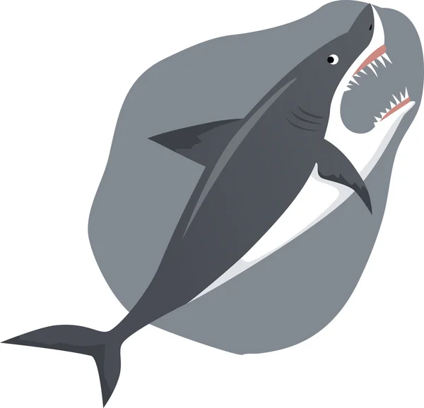 Shark — Stock Vector